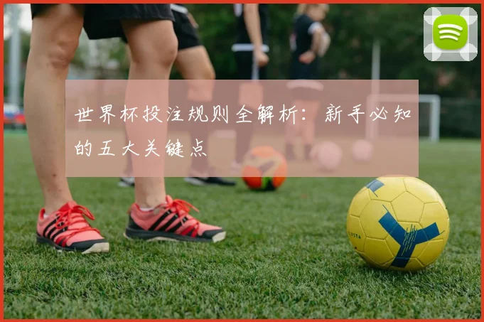 世界杯投注规则全解析：新手必知的五大关键点