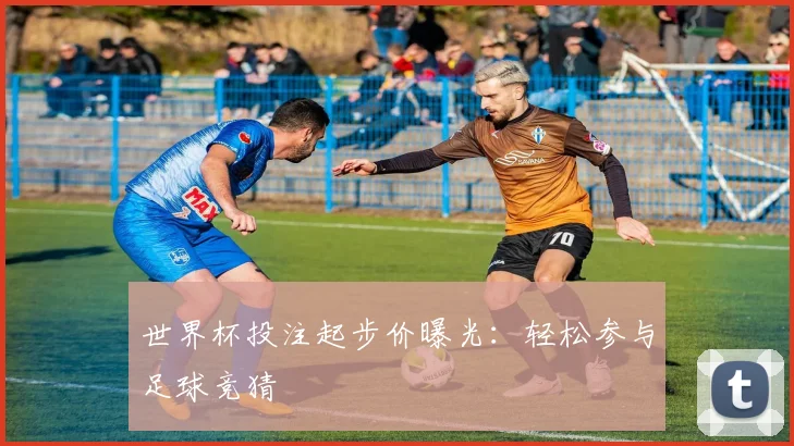 世界杯投注起步价曝光：轻松参与足球竞猜