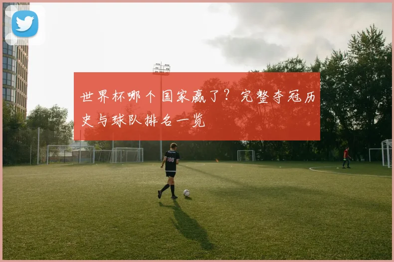 世界杯哪个国家赢了？完整夺冠历史与球队排名一览