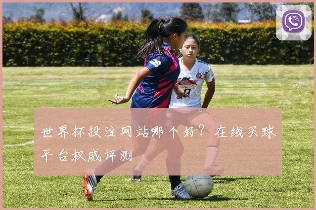 世界杯投注网站哪个好？在线买球平台权威评测