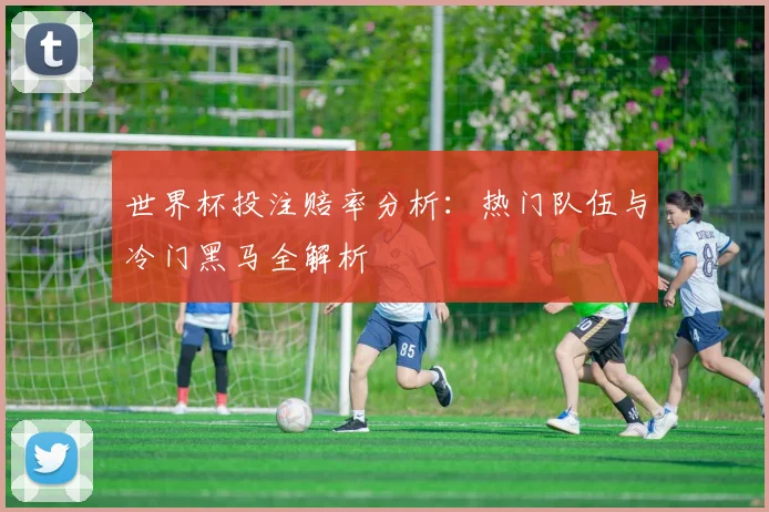 世界杯投注赔率分析：热门队伍与冷门黑马全解析