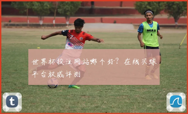 世界杯投注网站哪个好？在线买球平台权威评测