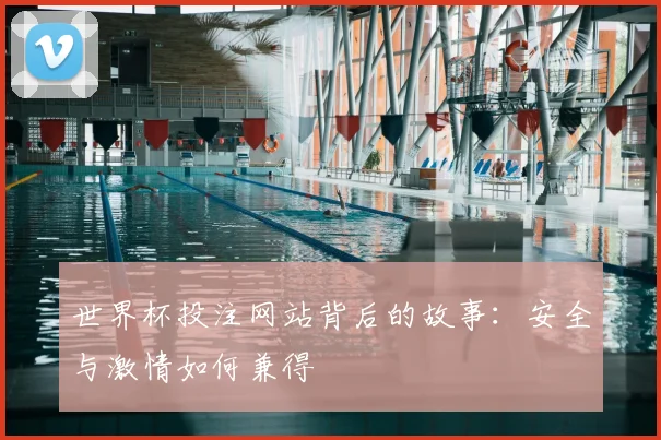 世界杯投注网站背后的故事：安全与激情如何兼得
