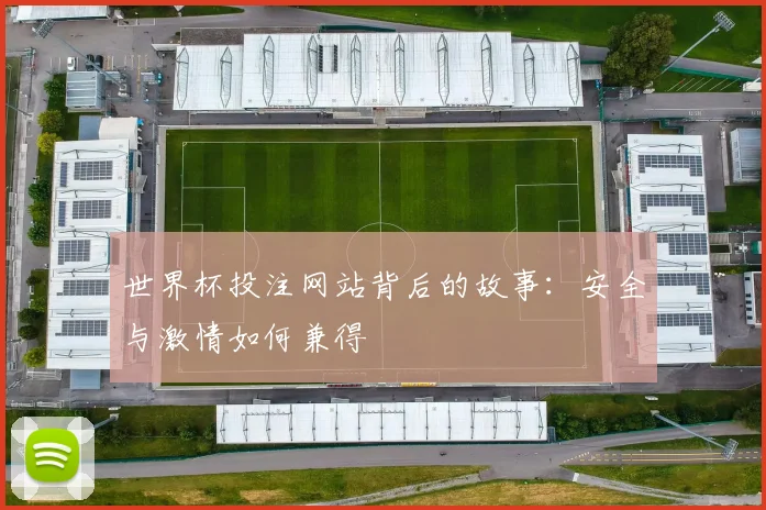 世界杯投注网站背后的故事：安全与激情如何兼得