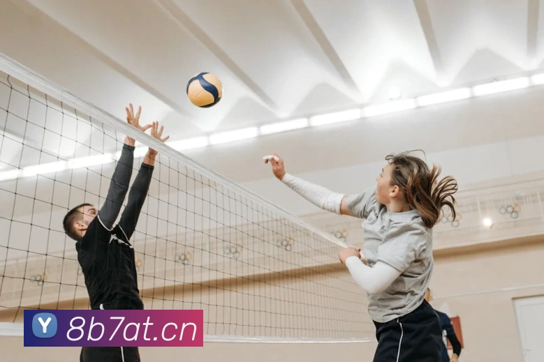 乐鱼官方在线登录平台生态图